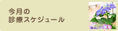 今月の診察スケジュール